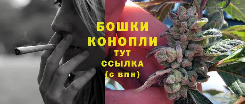 Бошки Шишки SATIVA & INDICA  shop формула  Ступино  закладки 